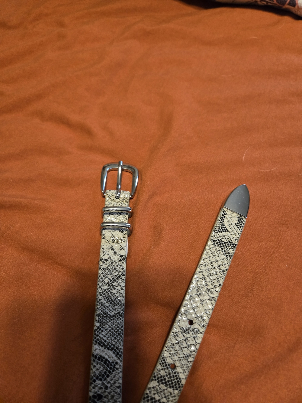 Express Snake-Print Skinny Belt in Cream and Black